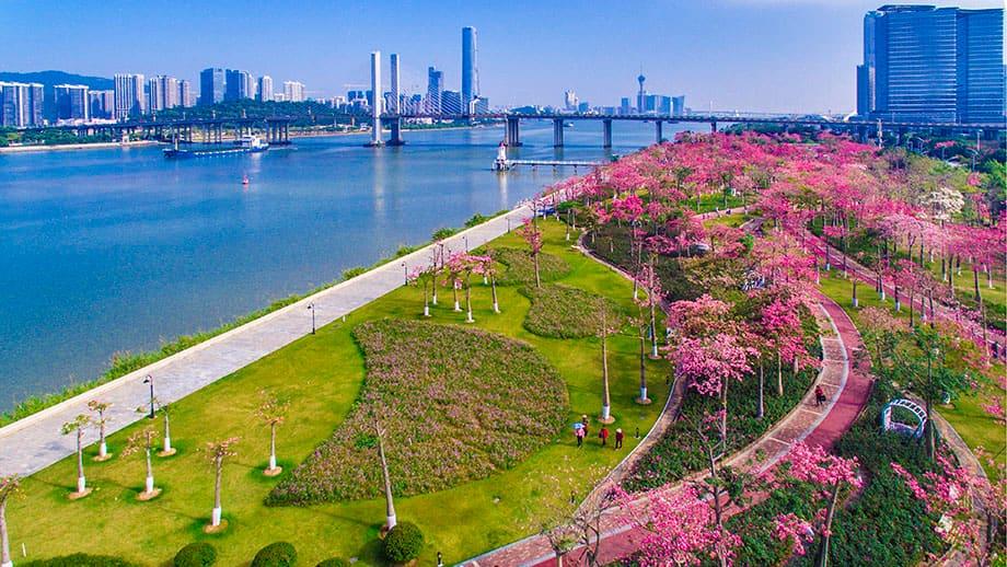 Local Attractions in Angsana Zhuhai Hengqin