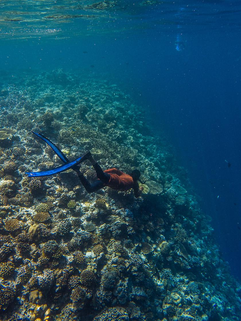 Angsana Velavaru - House Reef Snorkelling