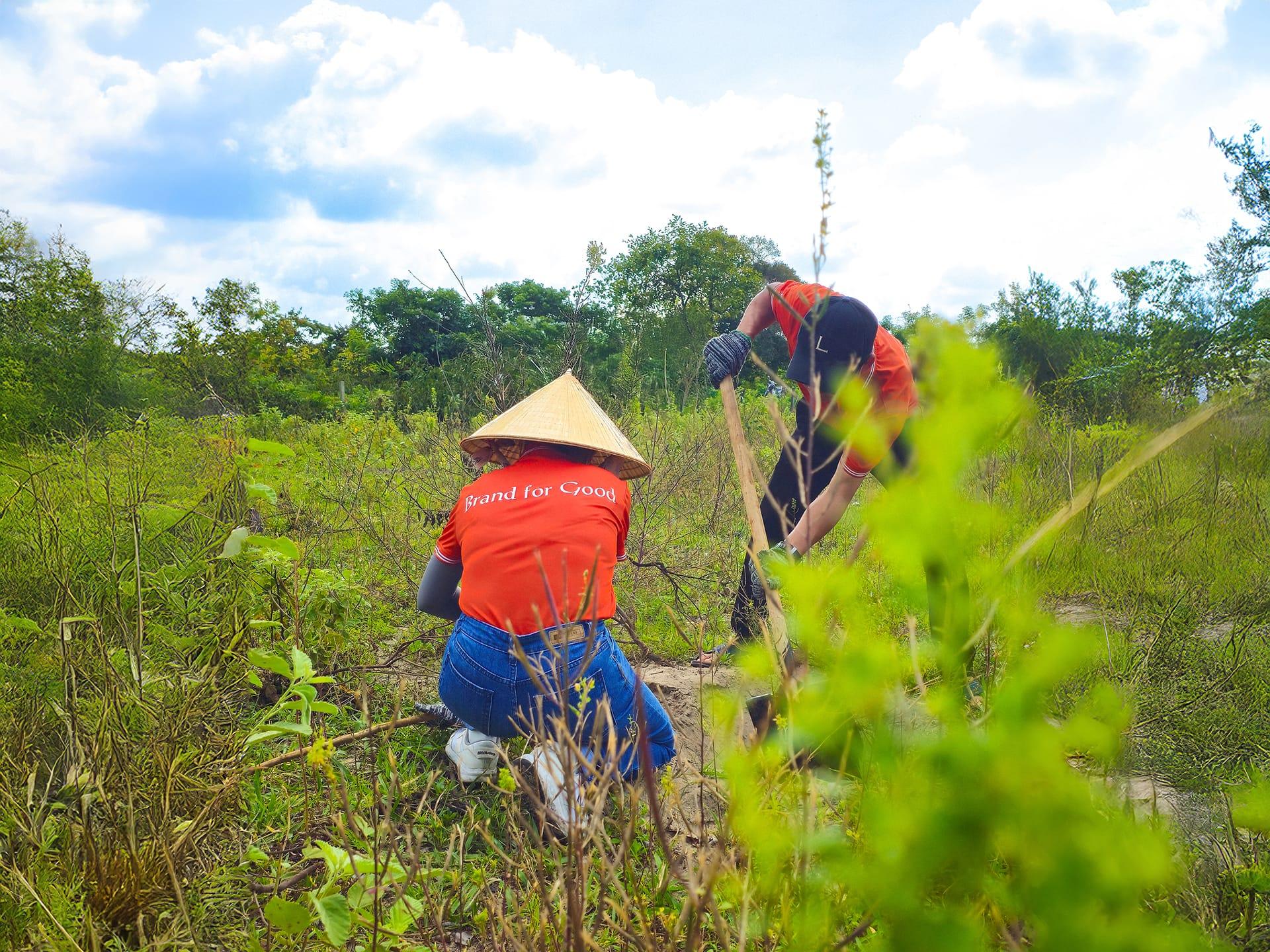 planting tree