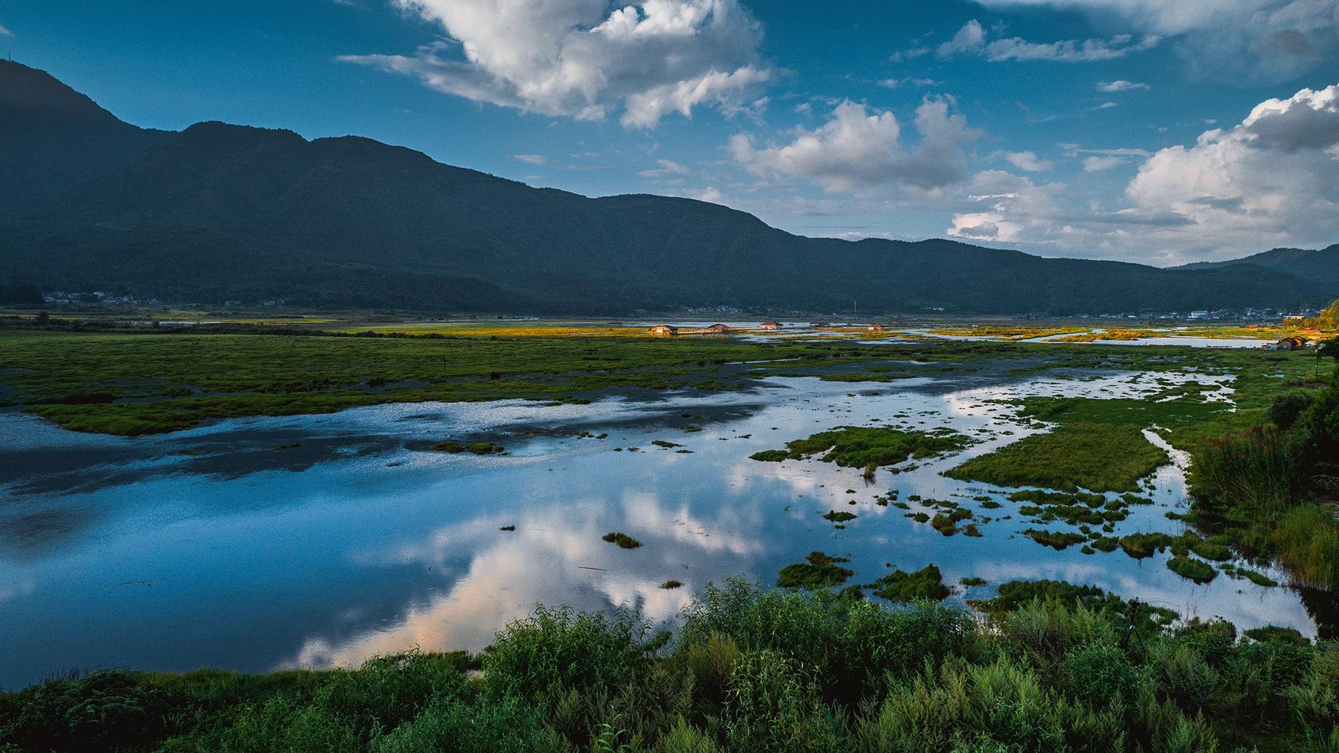 Beihai Wetland