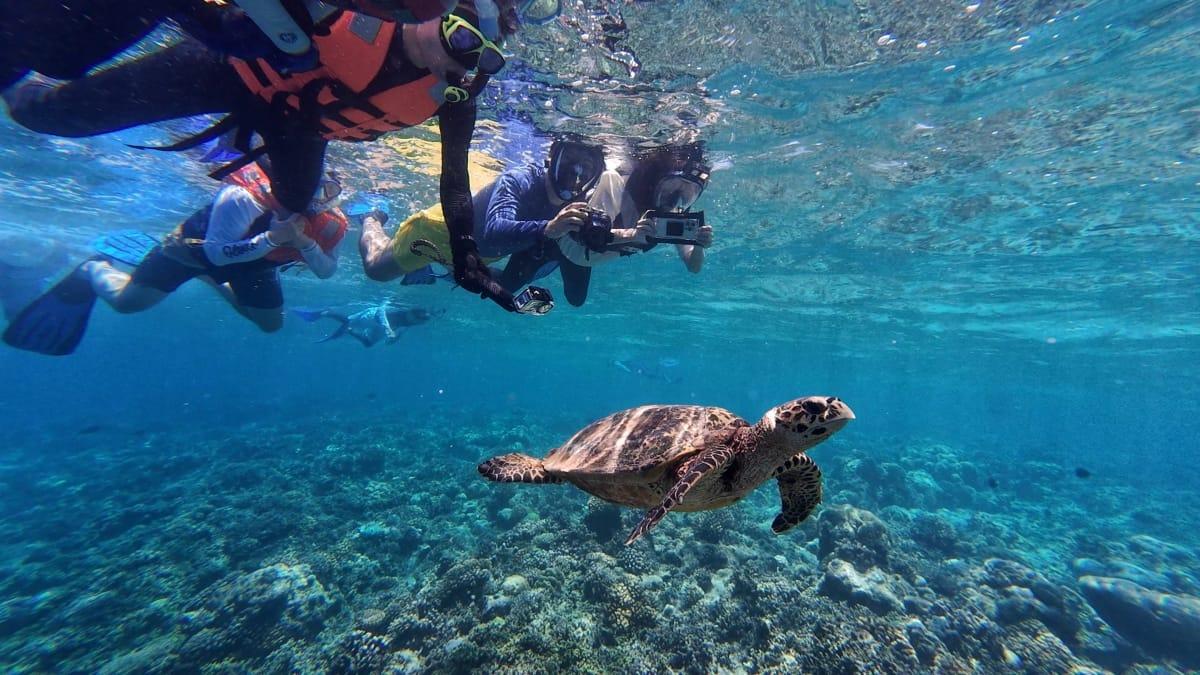 Angsana Velavaru Marine Lab